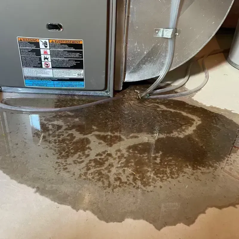 Appliance Leak Cleanup in LaSalle County, IL